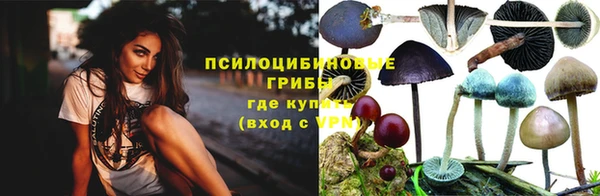 спайс Абаза